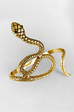 Load image into Gallery viewer, Serpent Cuff